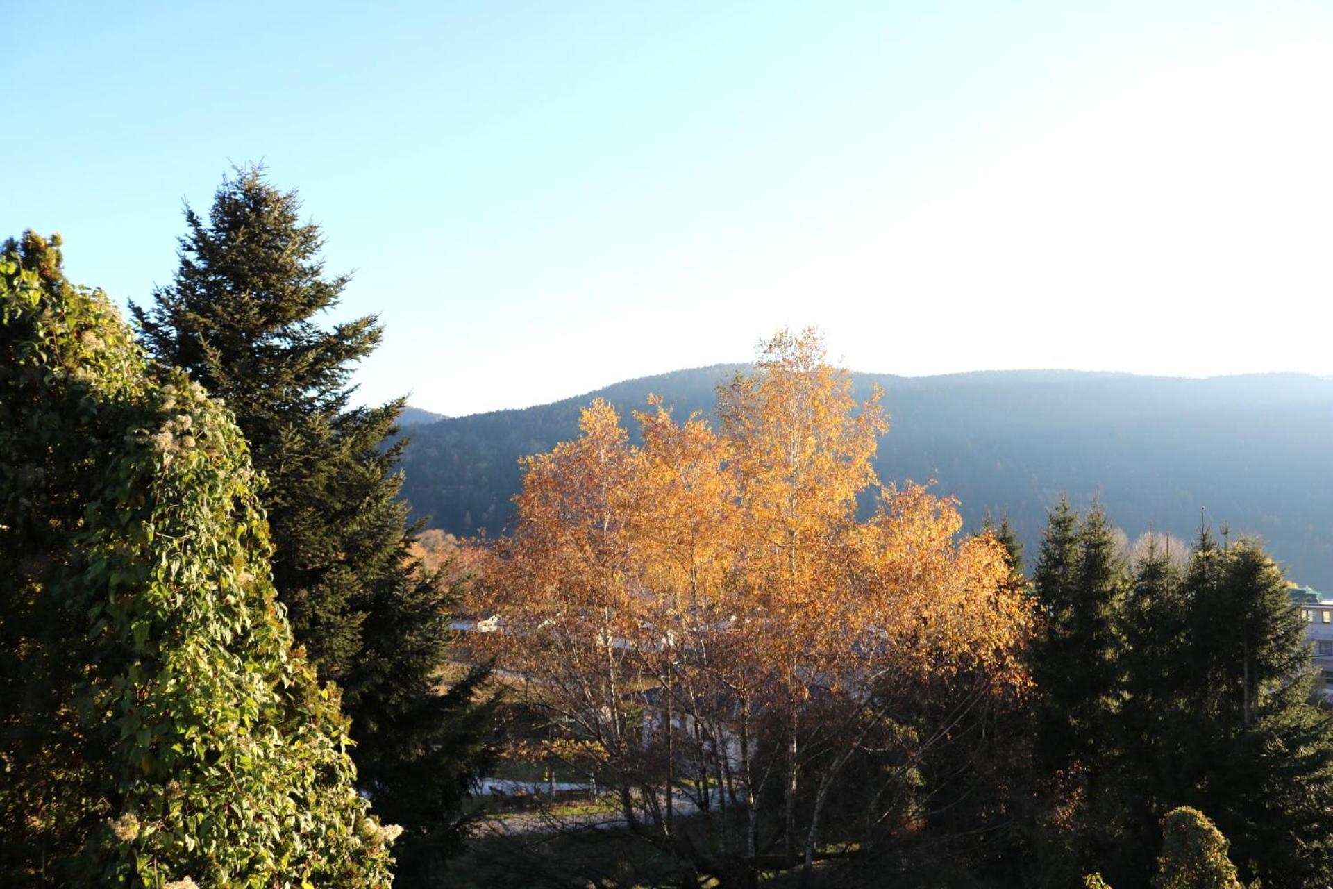 Top Five See & Bergblick - Haus Seepromenade Döbriach Exteriör bild