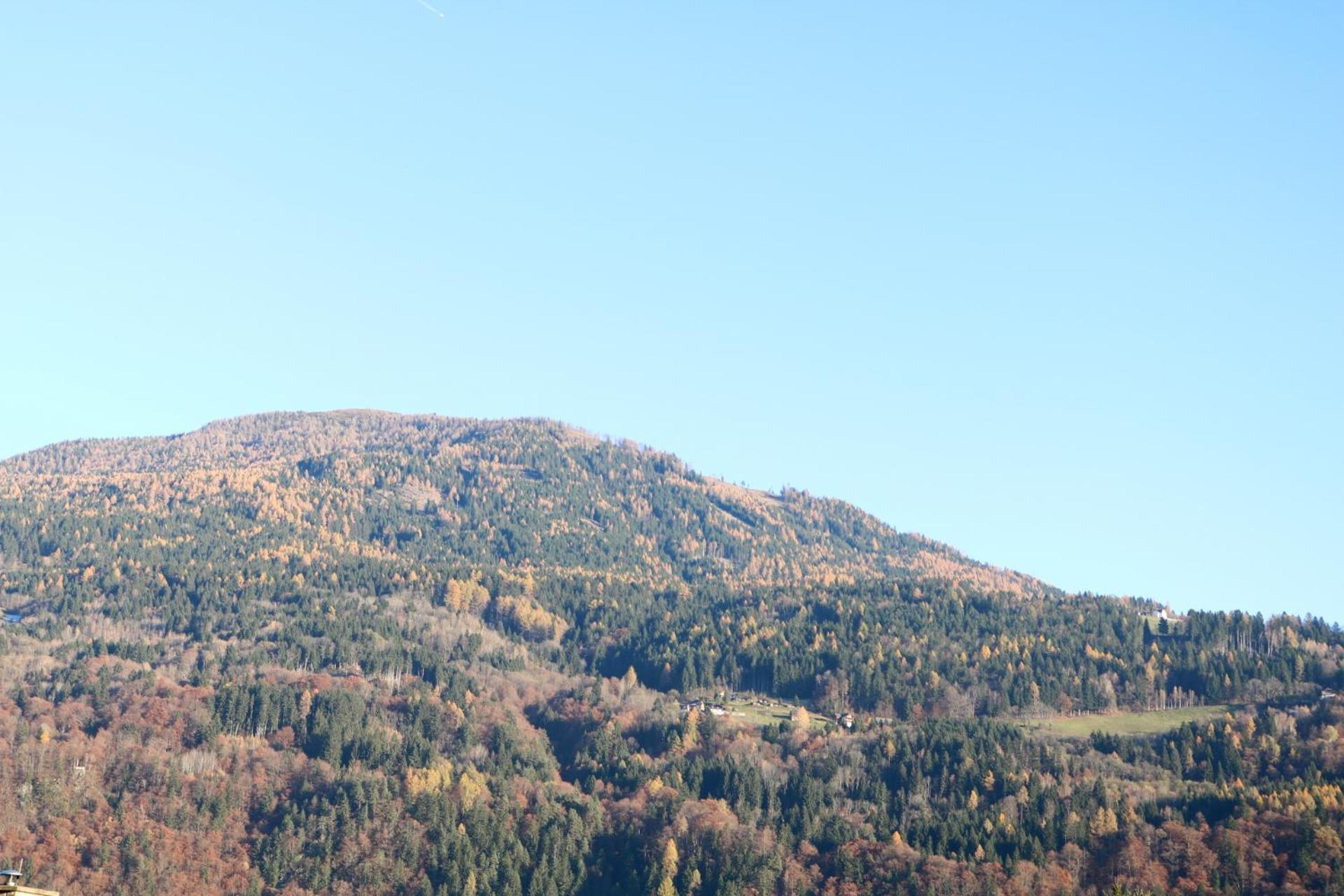 Top Five See & Bergblick - Haus Seepromenade Döbriach Exteriör bild